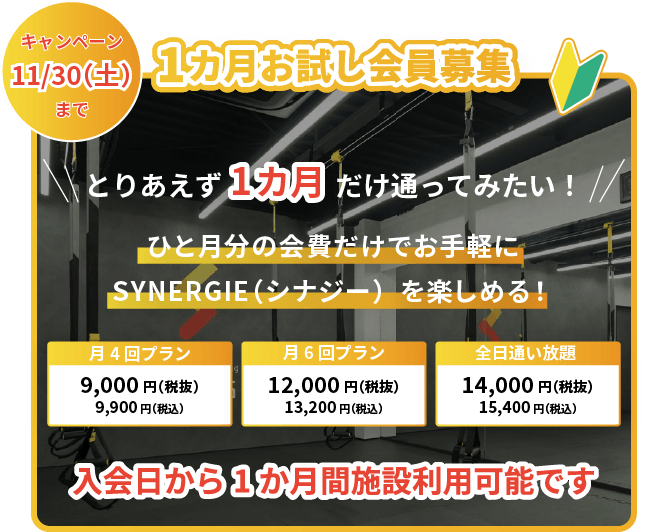 キャンペーン11/30（土）まで！とりあえず1カ月 だけ通ってみたい！ひと月分の会費だけでお手軽に SYNERGIE（シナジー）を楽しめる！月4回プラン9,900円（税込）月6回プラン13,200円（税込）全日通い放題15,400円（税込）入会日から1か月間施設利用可能です