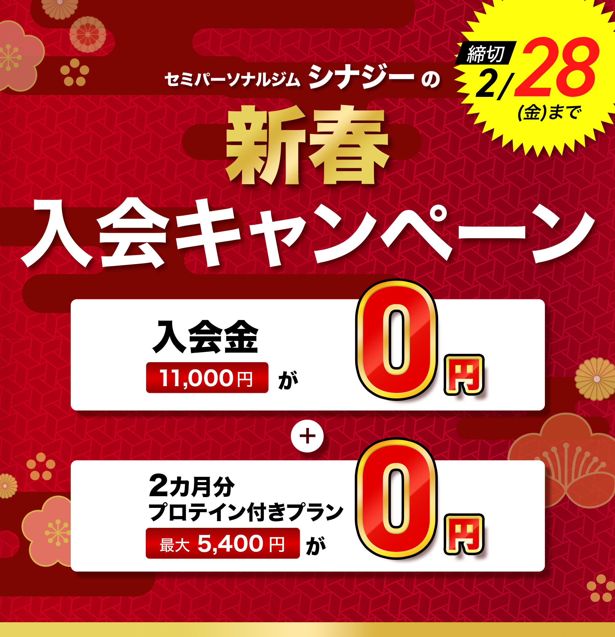 セミパーソナルジムシナジーの新春キャンペーン！入会金11,000円が0円！2ヶ月分プロテイン付きプラン最大5,400円が0円